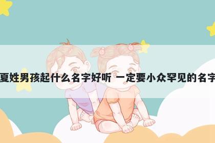 夏姓男孩起什么名字好听 一定要小众罕见的名字