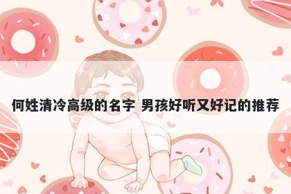 何姓清冷高级的名字 男孩好听又好记的推荐