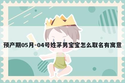 预产期05月-04号姓茅男宝宝怎么取名有寓意