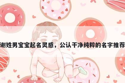 谢姓男宝宝起名灵感，公认干净纯粹的名字推荐