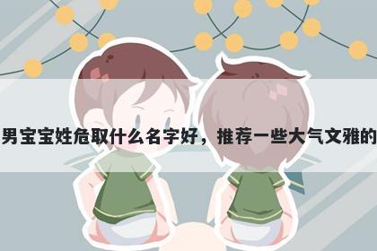 刚出生的男宝宝姓危取什么名字好，推荐一些大气文雅的男孩名字