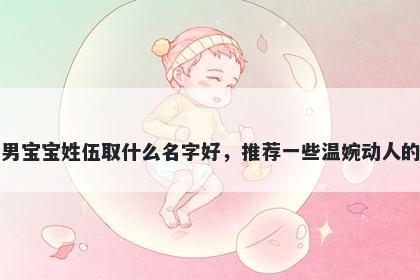 刚出生的男宝宝姓伍取什么名字好，推荐一些温婉动人的男孩名字