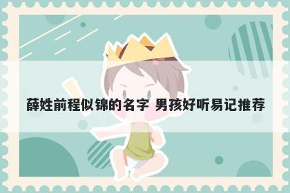 薛姓前程似锦的名字 男孩好听易记推荐