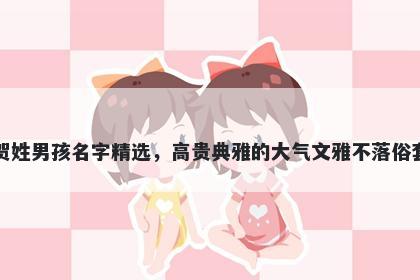 贺姓男孩名字精选，高贵典雅的大气文雅不落俗套