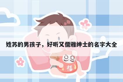 姓苏的男孩子，好听又儒雅绅士的名字大全