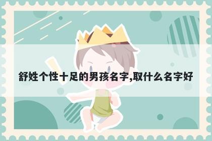 舒姓个性十足的男孩名字,取什么名字好