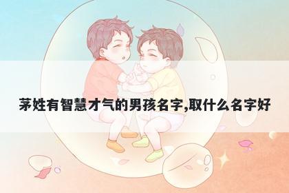 茅姓有智慧才气的男孩名字,取什么名字好