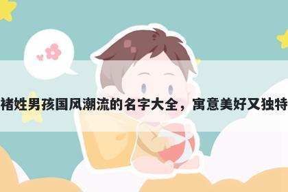 褚姓男孩国风潮流的名字大全，寓意美好又独特
