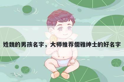 姓魏的男孩名字，大师推荐儒雅绅士的好名字