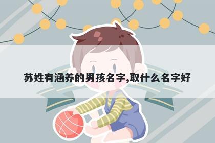 苏姓有涵养的男孩名字,取什么名字好
