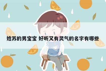 姓苏的男宝宝 好听又有灵气的名字有哪些