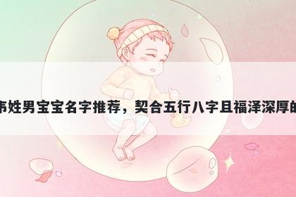 韦姓男宝宝名字推荐，契合五行八字且福泽深厚的