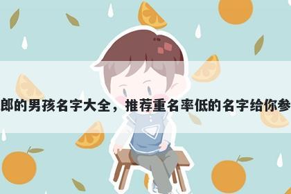 姓郎的男孩名字大全，推荐重名率低的名字给你参考