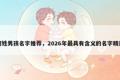 何姓男孩名字推荐，2026年最具有含义的名字精选
