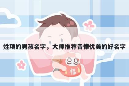 姓项的男孩名字，大师推荐音律优美的好名字