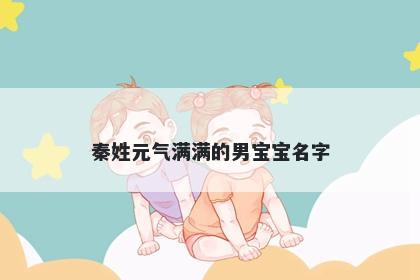 秦姓元气满满的男宝宝名字