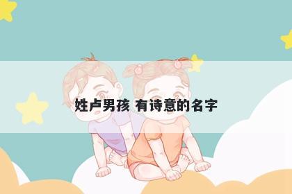姓卢男孩 有诗意的名字