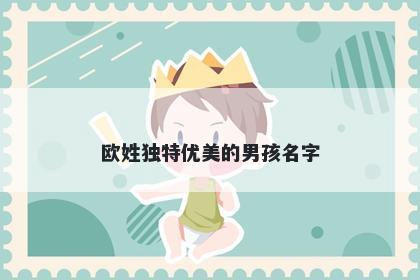 欧姓独特优美的男孩名字
