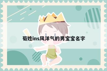 荀姓ins风洋气的男宝宝名字