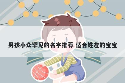 男孩小众罕见的名字推荐 适合姓左的宝宝