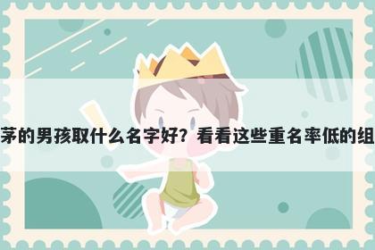 姓茅的男孩取什么名字好？看看这些重名率低的组合
