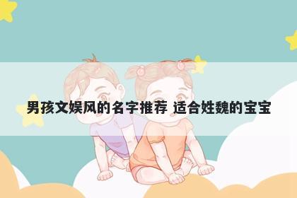 男孩文娱风的名字推荐 适合姓魏的宝宝