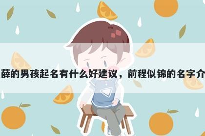 姓薛的男孩起名有什么好建议，前程似锦的名字介绍