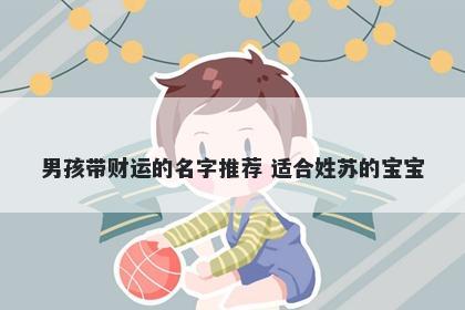 男孩带财运的名字推荐 适合姓苏的宝宝