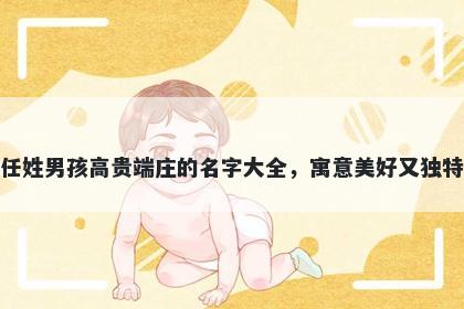 任姓男孩高贵端庄的名字大全，寓意美好又独特
