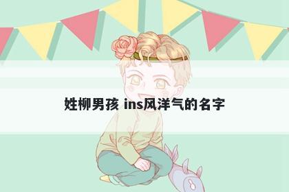 姓柳男孩 ins风洋气的名字
