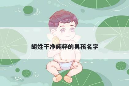 胡姓干净纯粹的男孩名字