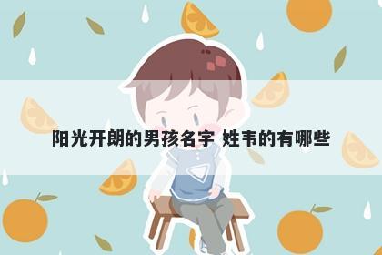 阳光开朗的男孩名字 姓韦的有哪些