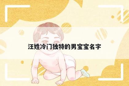 汪姓冷门独特的男宝宝名字