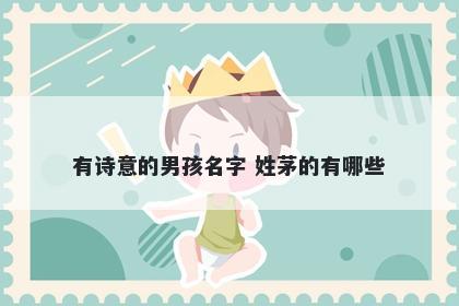 有诗意的男孩名字 姓茅的有哪些