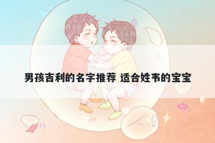 男孩吉利的名字推荐 适合姓韦的宝宝