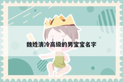 魏姓清冷高级的男宝宝名字