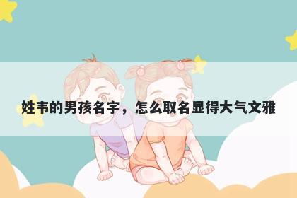 姓韦的男孩名字，怎么取名显得大气文雅
