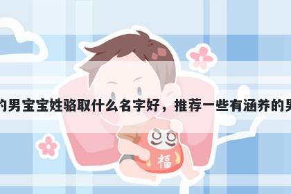 刚出生的男宝宝姓骆取什么名字好，推荐一些有涵养的男孩名字