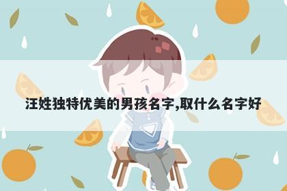 汪姓独特优美的男孩名字,取什么名字好