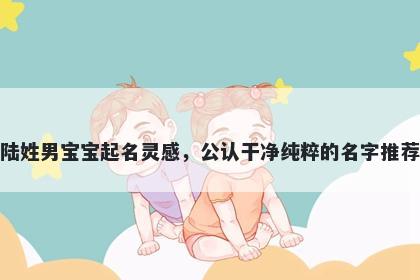 陆姓男宝宝起名灵感，公认干净纯粹的名字推荐