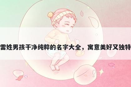 雷姓男孩干净纯粹的名字大全，寓意美好又独特