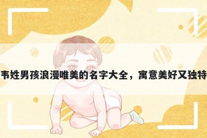 韦姓男孩浪漫唯美的名字大全，寓意美好又独特