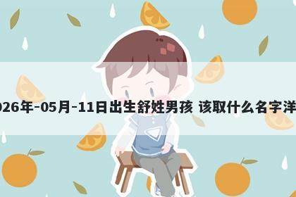 2026年-05月-11日出生舒姓男孩 该取什么名字洋气