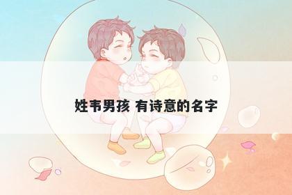 姓韦男孩 有诗意的名字