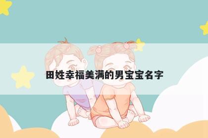 田姓幸福美满的男宝宝名字