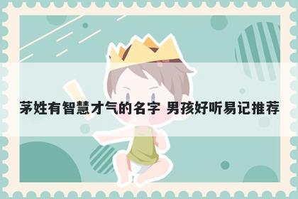 茅姓有智慧才气的名字 男孩好听易记推荐