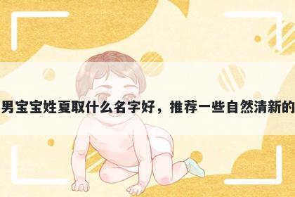 刚出生的男宝宝姓夏取什么名字好，推荐一些自然清新的男孩名字