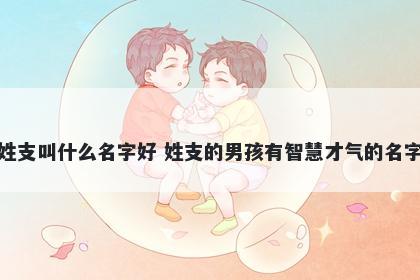 姓支叫什么名字好 姓支的男孩有智慧才气的名字