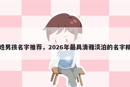 洪姓男孩名字推荐，2026年最具清雅淡泊的名字精选