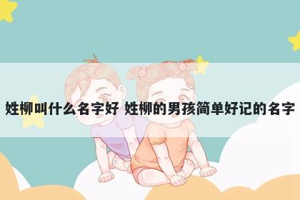 姓柳叫什么名字好 姓柳的男孩简单好记的名字